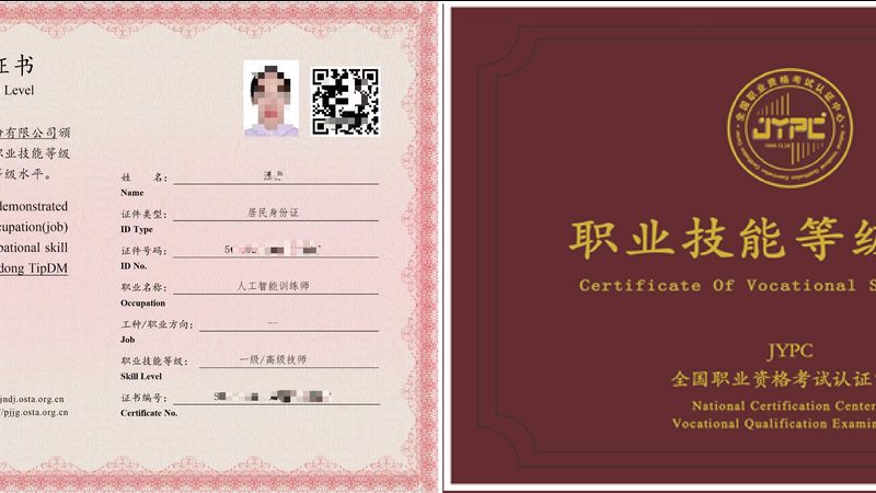 人工智能芯片：揭秘十大品牌背后的技术实力与市场布局**