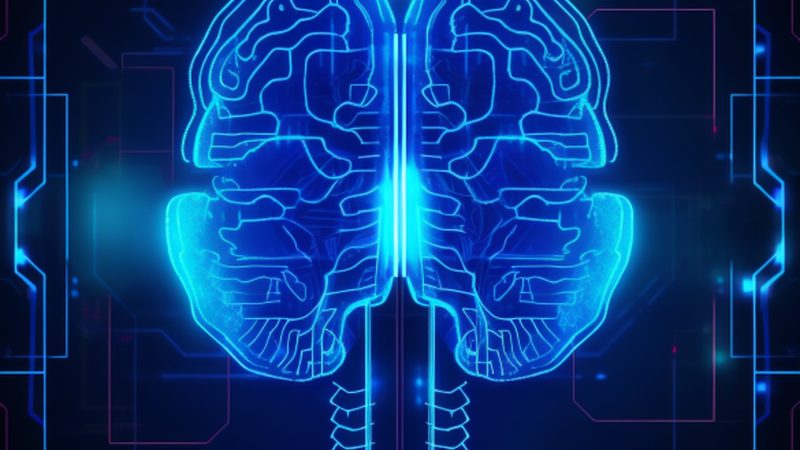 图像识别模型训练流程：参数优化与性能提升的关键